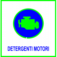 DETERGENTI MOTORI